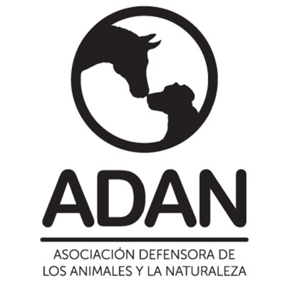 11-adan