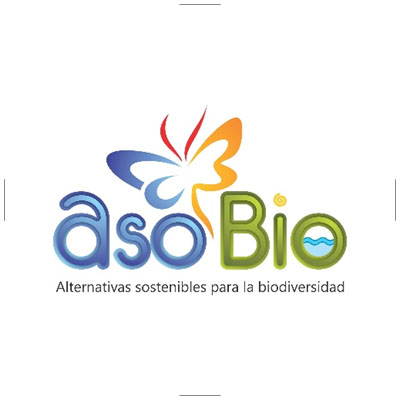 13-asobio
